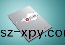 宣(xuan)傳冊(ce)印刷(shua)案例